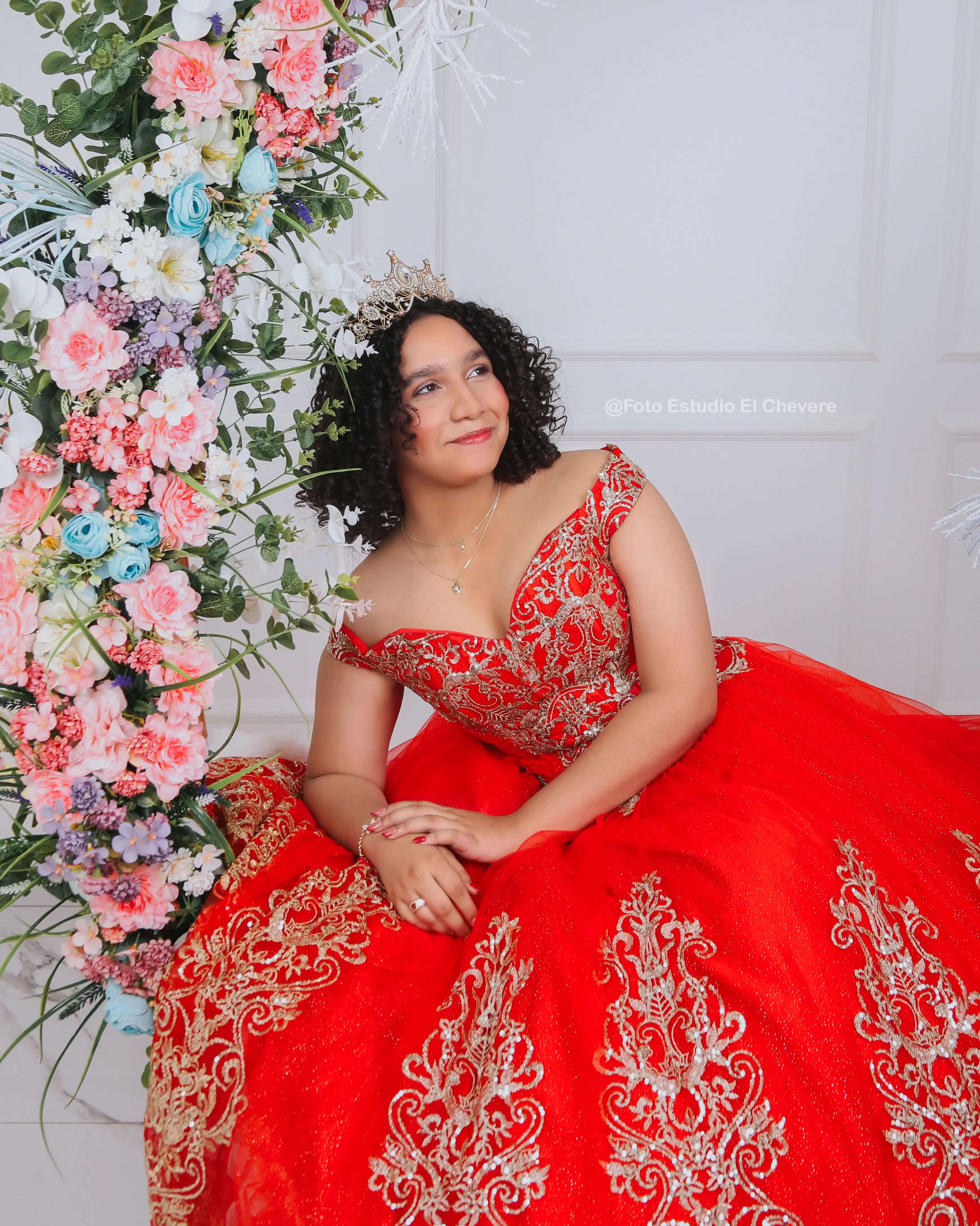 Una colección de fotografías de celebraciones de quinceañeras, que capturan la alegría y la emoción de este hito especial.